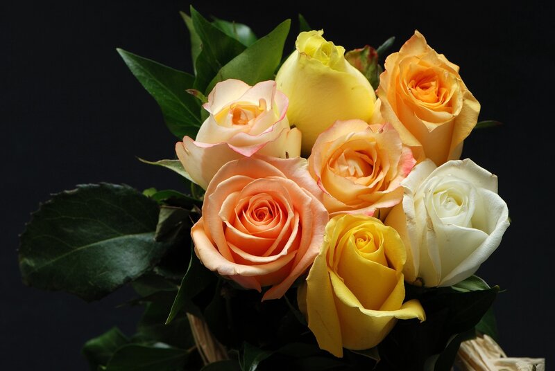 Bouquet of Roses — Yellow, Dramatic