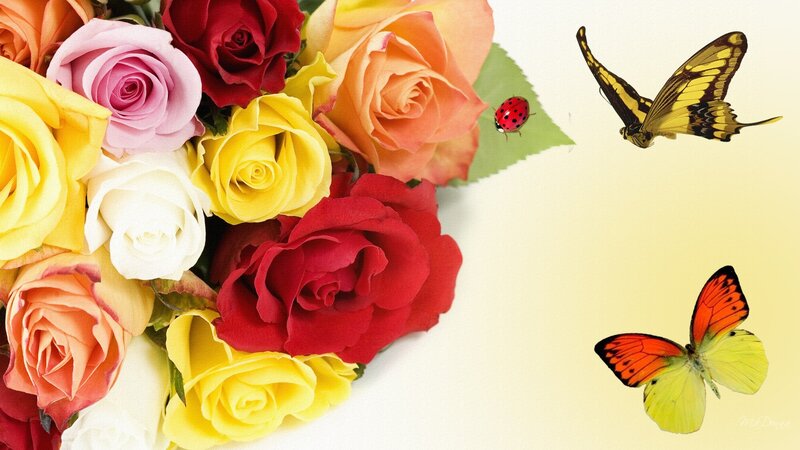 Bouquet of Roses — Yellow, Serene, Spring