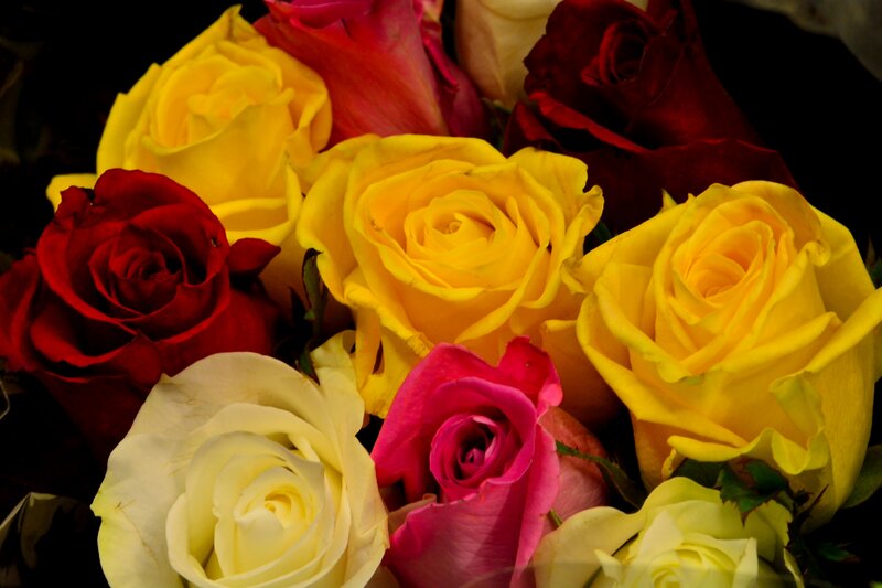 Bouquet of Roses — Yellow, Vibrant, Photograph, Flowers