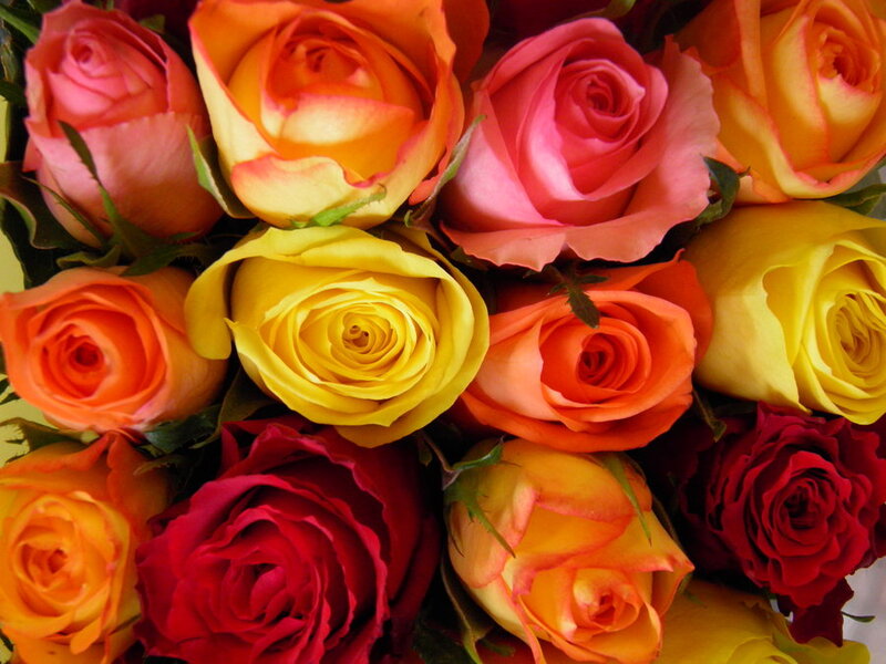 Bouquet of Roses — Yellow, Vibrant, Photograph