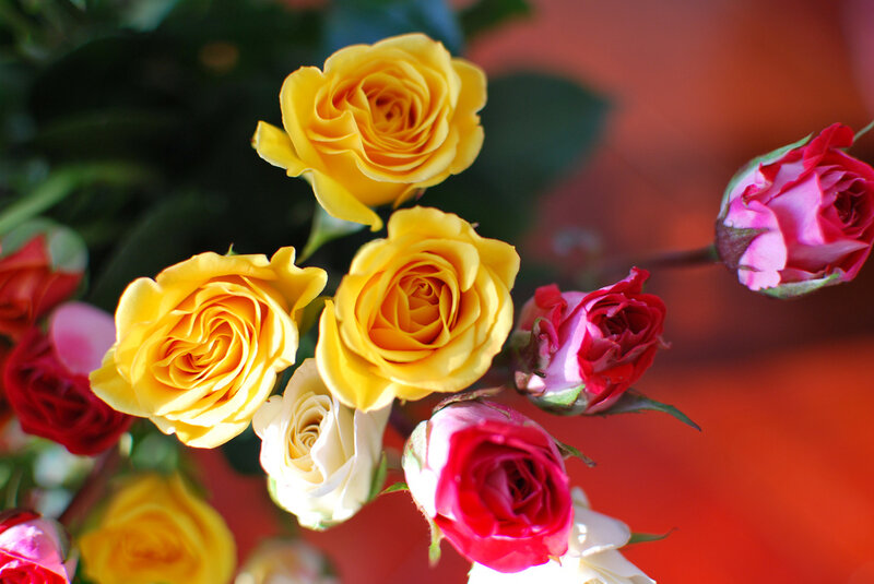 Bouquet of Roses — Yellow, Vibrant