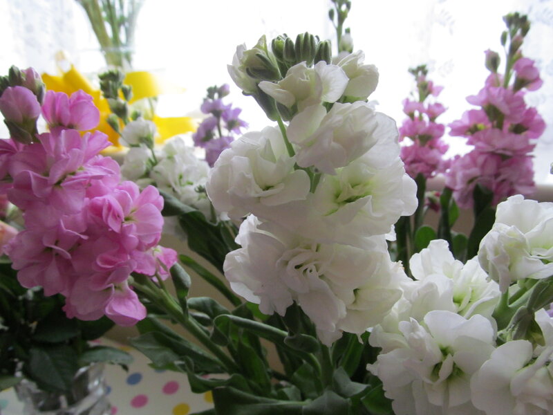 Bouquet of Snapdragon Flowers