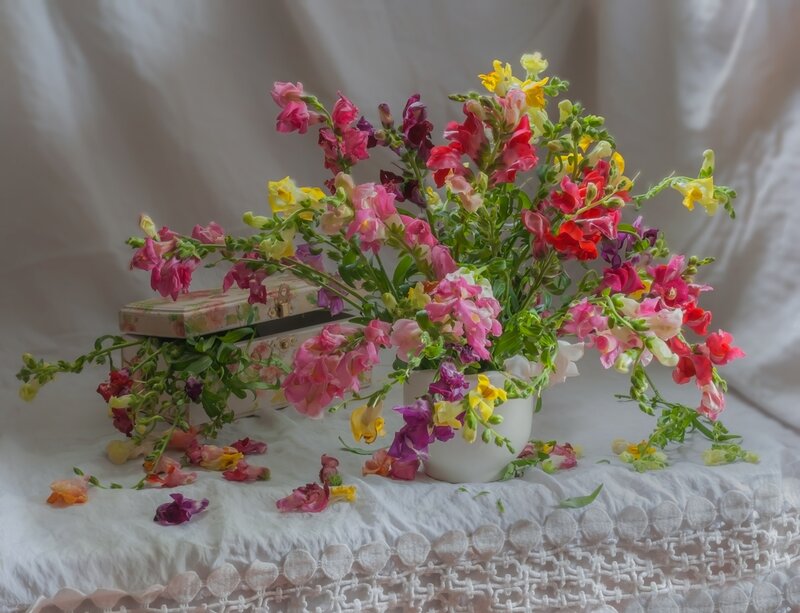 Bouquet of Snapdragons