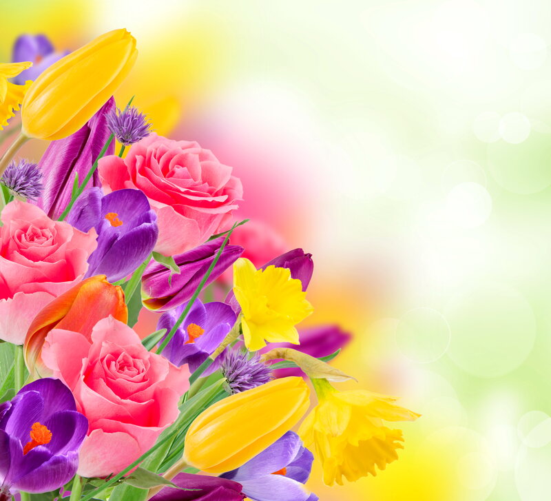 Bouquet of Spring Flowers — Pink, Bright