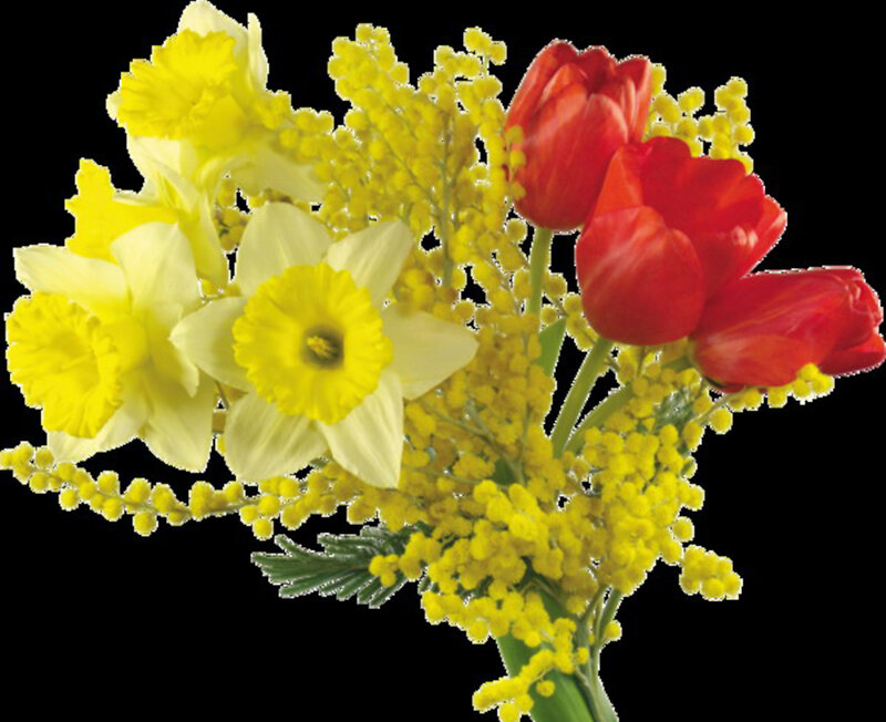 Bouquet of Spring Flowers — Yellow, Bright, Photograph, Daffodils