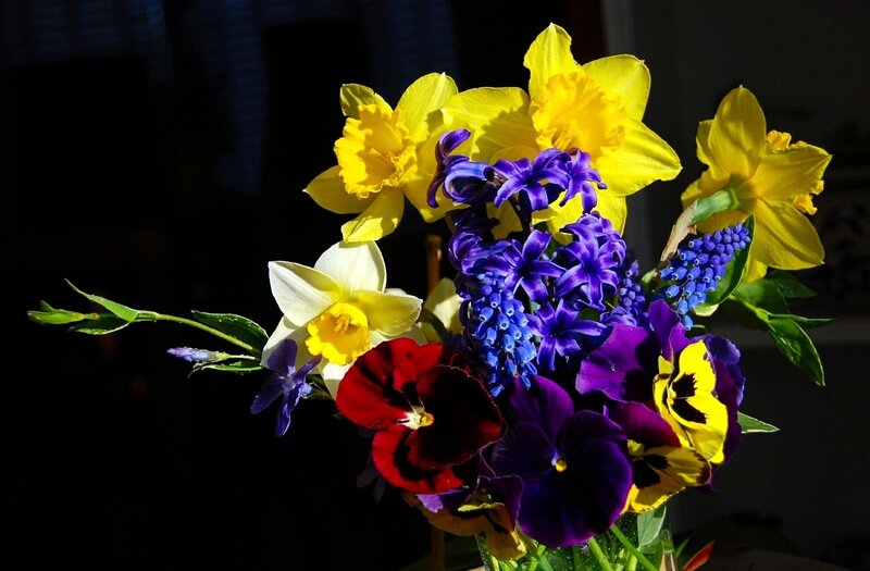 Bouquet of Spring Flowers — Yellow, Dramatic
