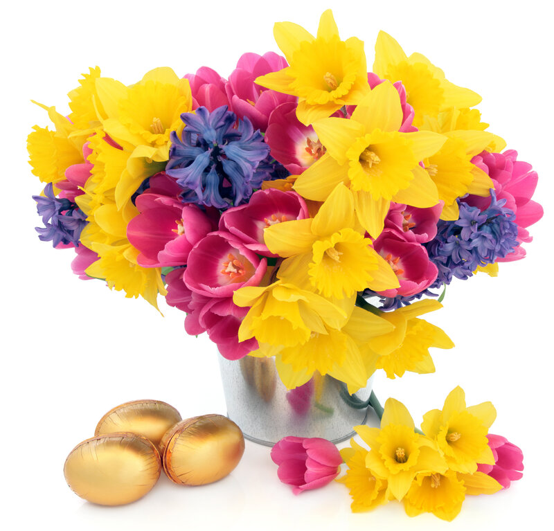Bouquet of Spring Flowers — Yellow, Festive