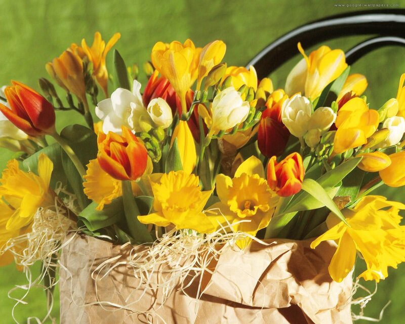 Bouquet of Spring Flowers — Yellow
