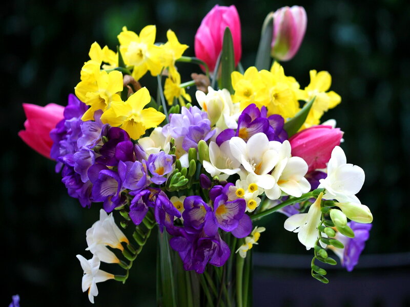 Bouquet of Spring Flowers — Yellow, Vibrant, Photograph