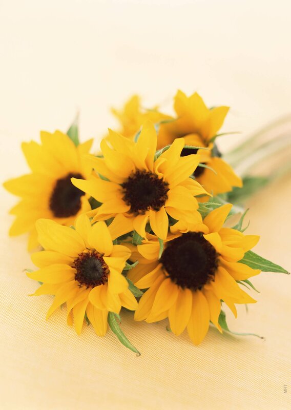 bouquet of sunflowers