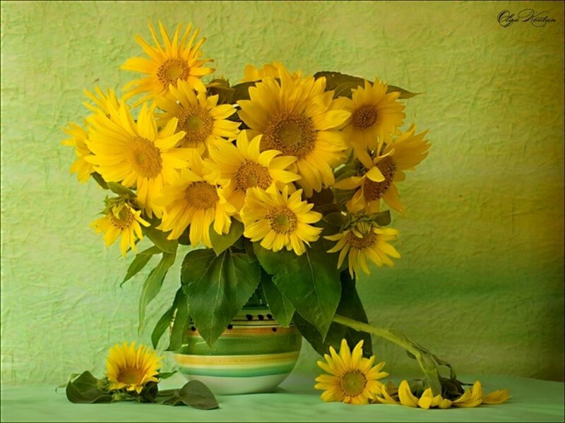 Bouquet of Sunflowers — Yellow, Calm, Photograph, Vase