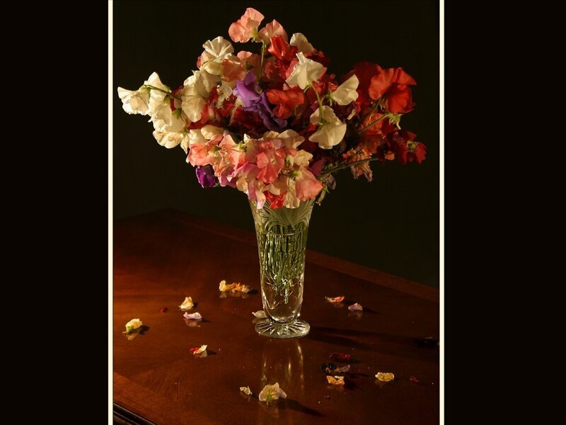 Bouquet of Sweet Peas