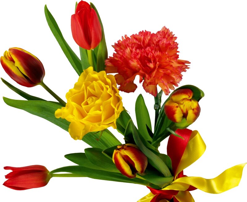 Bouquet of Tulips and Carnations — Red