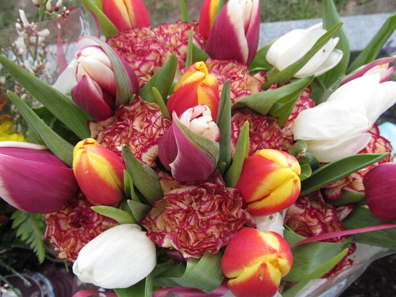 Bouquet of Tulips and Carnations