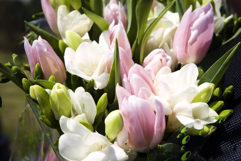 Bouquet of Tulips and Freesias — Pink