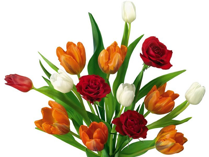 Bouquet of Tulips and Roses — Red, Calm