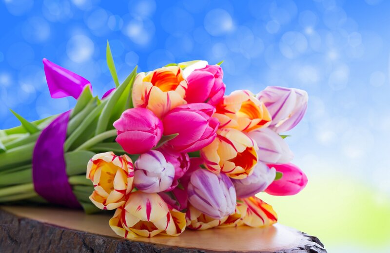 Bouquet of Tulips — Blue, Bright, Spring