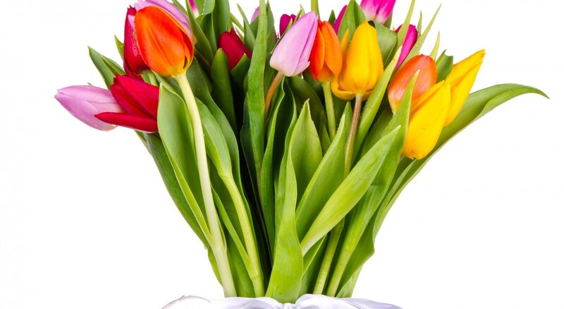 Bouquet of Tulips — Green, Bright