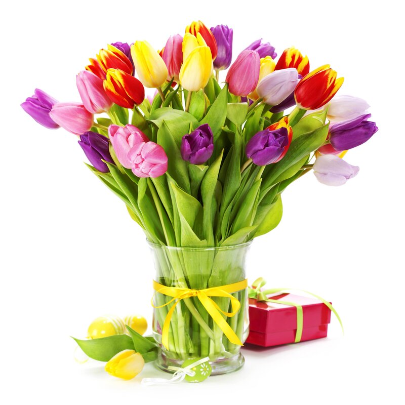 Bouquet of Tulips — Green, Festive, Spring