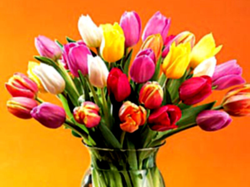 Bouquet of Tulips — Orange, Bright