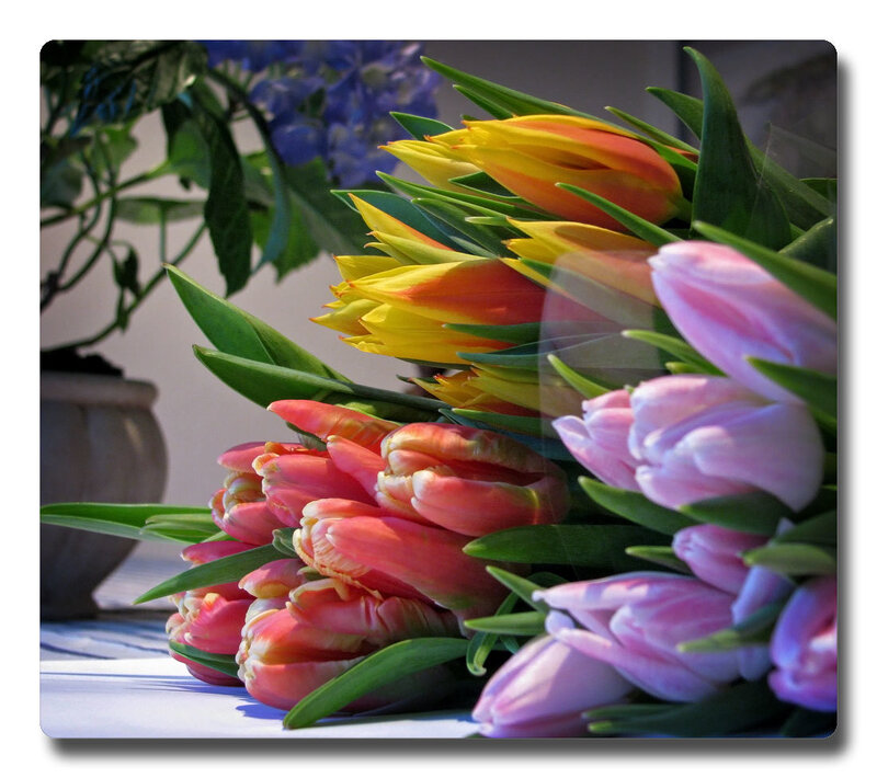 Bouquet of Tulips — Pink, Calm, Afternoon