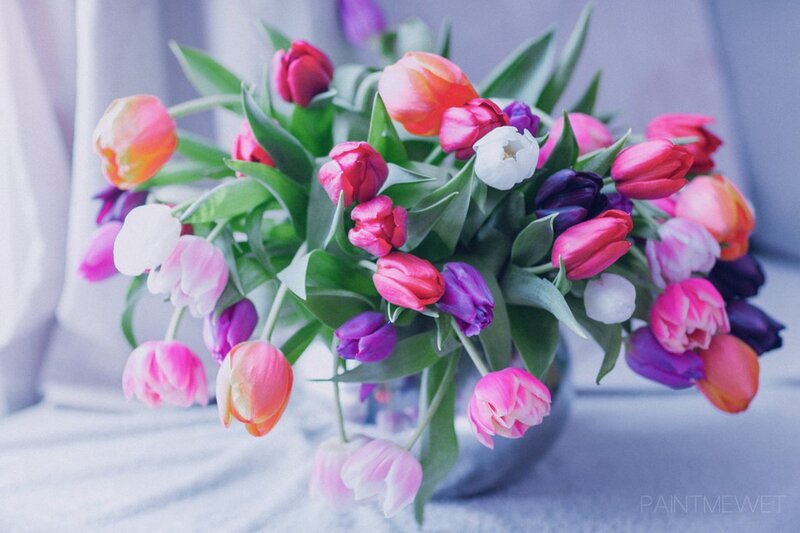 Bouquet of Tulips — Pink, Calm, Photograph, Flowers