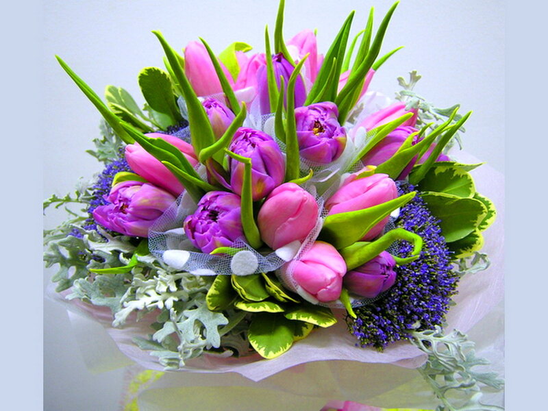 Bouquet of Tulips — Pink, Calm, Photograph
