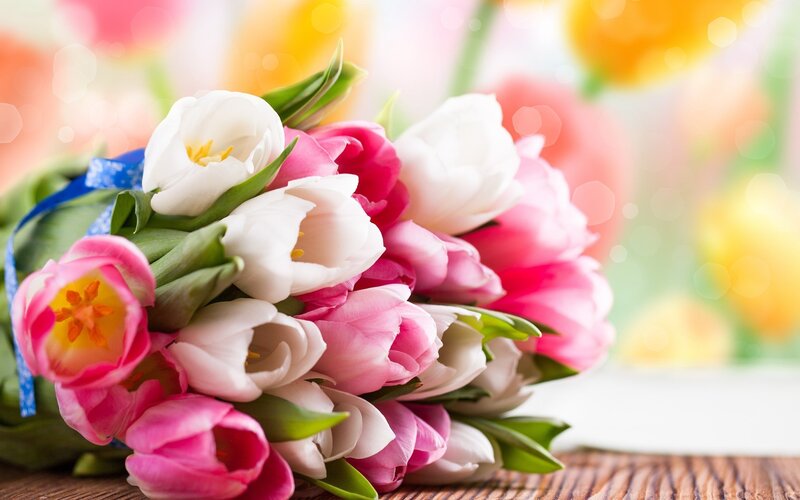 Bouquet of Tulips — Pink, Calm, Spring, Photograph, Green Leaves, Blue Ribbon, Wooden Surface