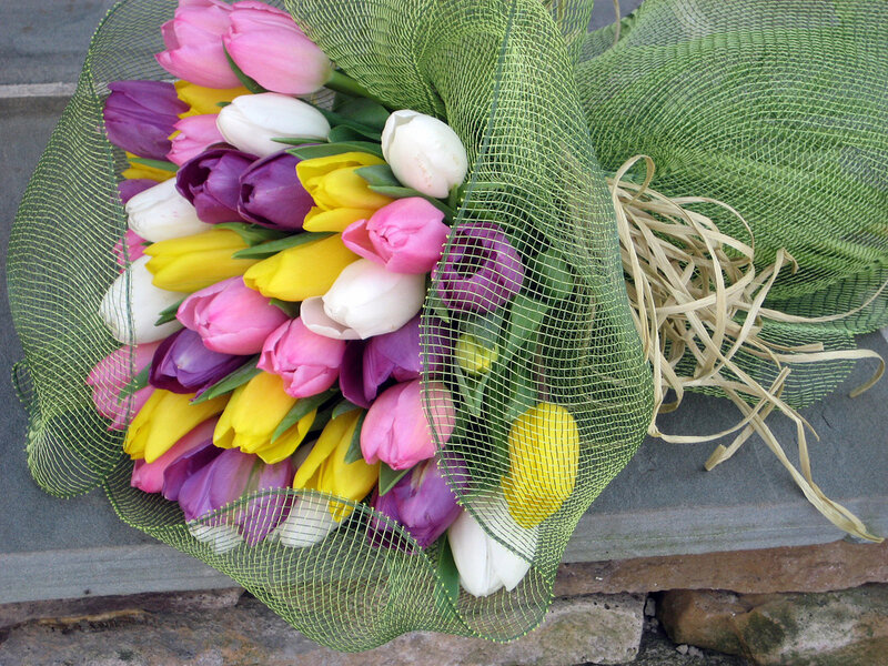 Bouquet of Tulips — Pink, Calm, Spring, Photograph