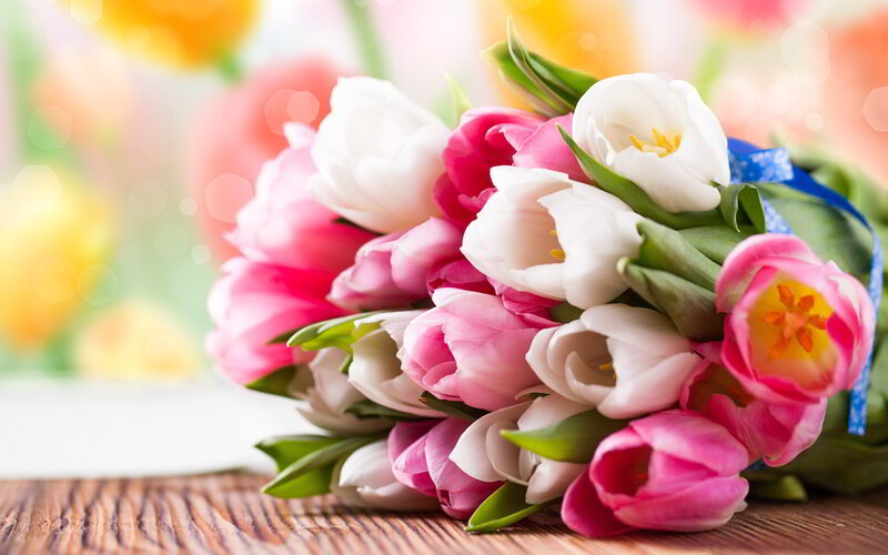 Bouquet of Tulips — Pink, Calm, Spring, Photograph, Wooden Surface