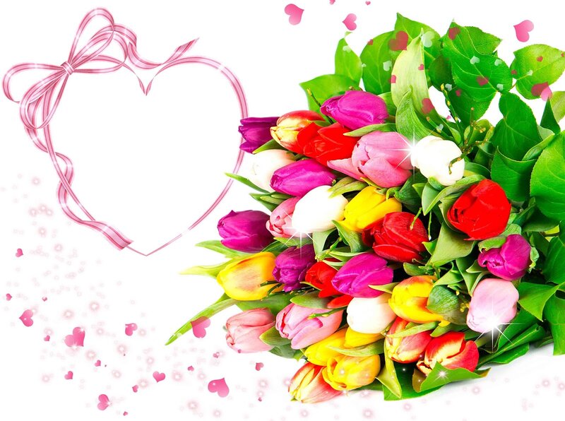 Bouquet of Tulips — Pink, Romantic