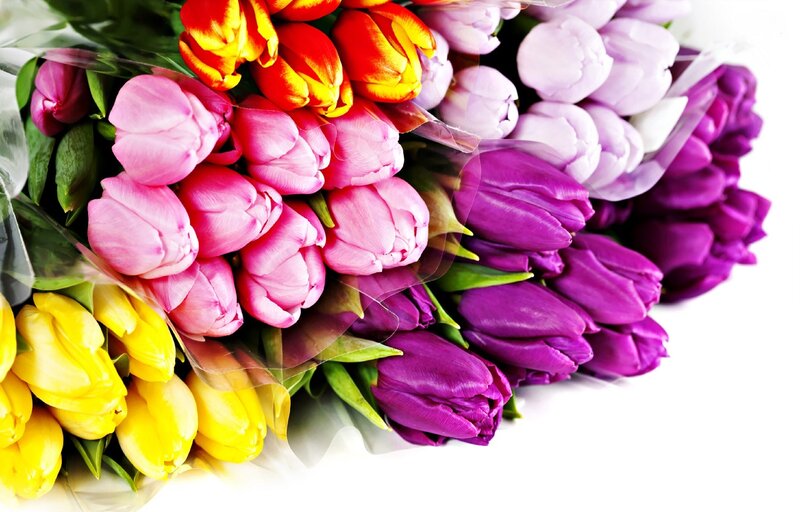 Bouquet of Tulips — Pink, Vibrant, Photograph