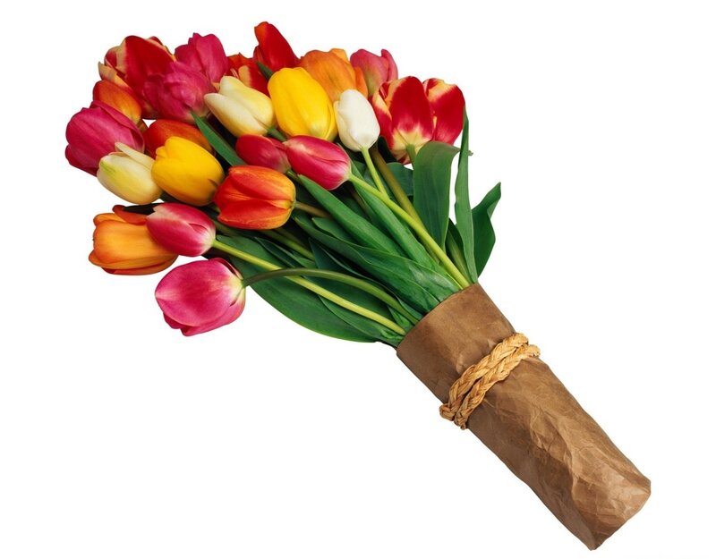 Bouquet of Tulips — Red, Bright, Photograph, Green Leaves