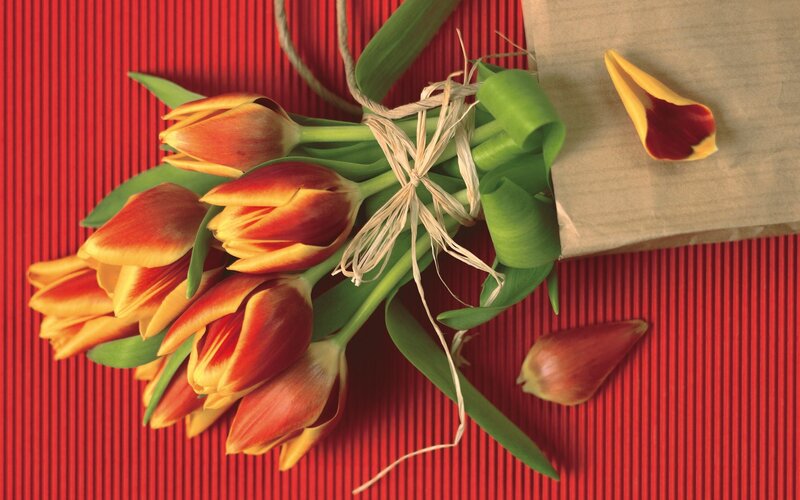 Bouquet of Tulips — Red, Calm, Photograph, Green Leaves, Paper Bag