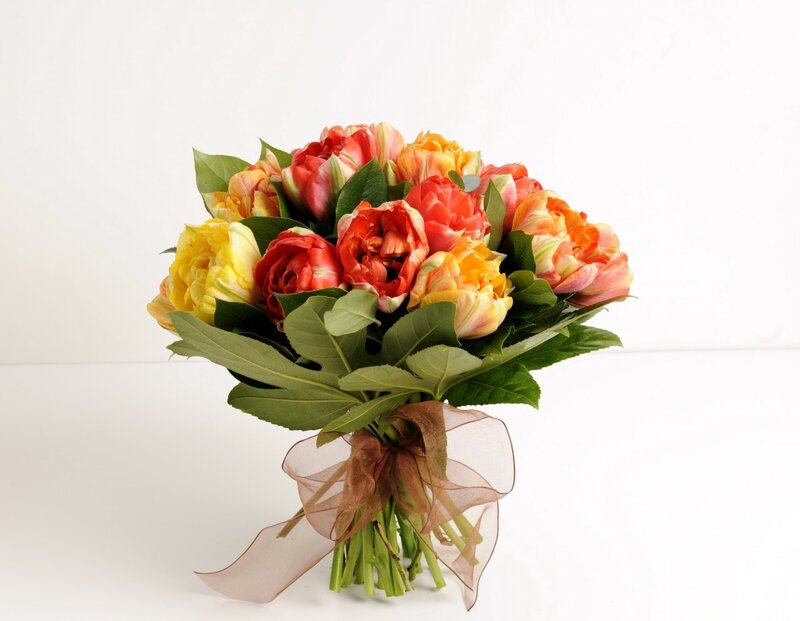Bouquet of Tulips — Red, Calm, Photograph