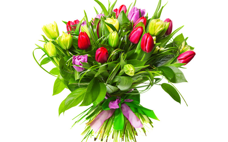 Bouquet of Tulips — Red, Vibrant, Spring