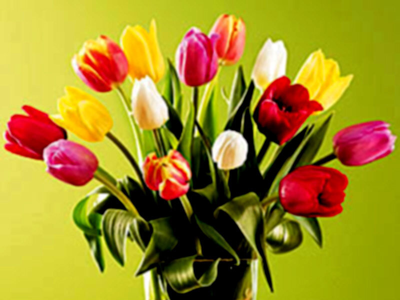 Bouquet of Tulips — Yellow, Bright