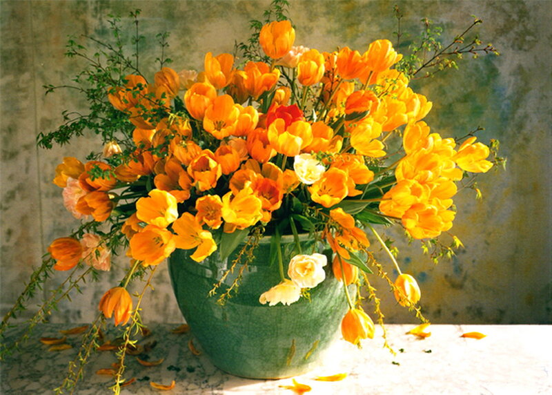 Bouquet of Tulips — Yellow, Calm, Afternoon