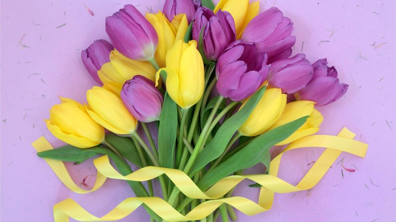 Bouquet of Tulips — Yellow, Calm, Photograph, Yellow Ribbon