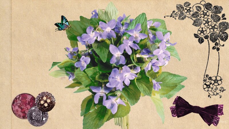 Bouquet of Violets — Purple