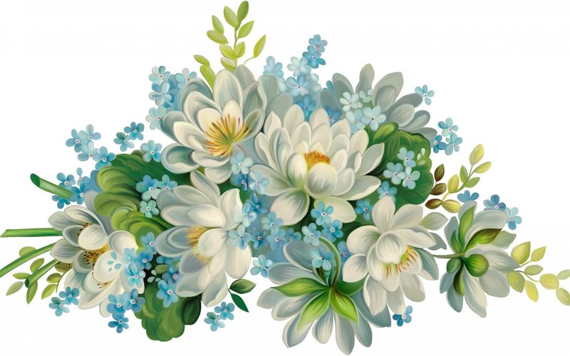 Bouquet of White and Blue Flowers — Serene, Illustration
