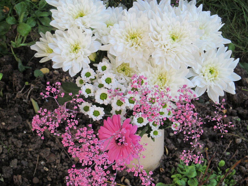 Bouquet of White and Pink Flowers — Calm