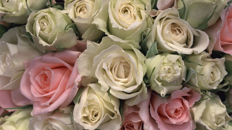bouquet of white and pink roses