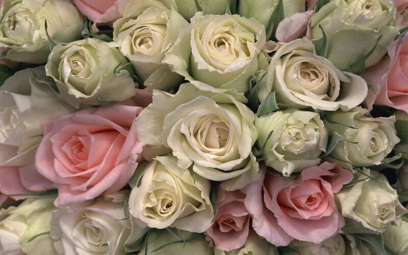 bouquet of white and pink roses