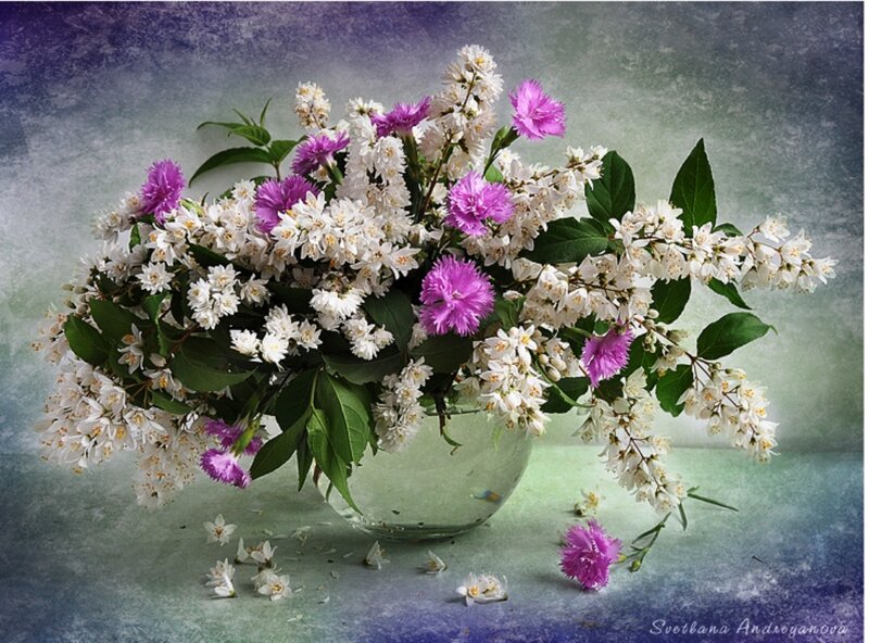 Bouquet of White and Purple Flowers — Serene, Spring