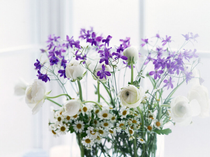 Bouquet of White and Purple Flowers — Serene