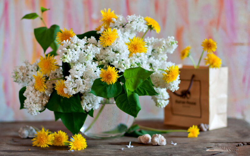 Bouquet of White and Yellow Flowers — Calm, Spring