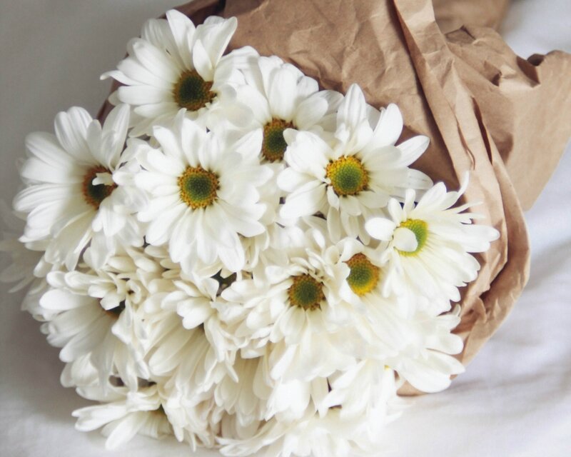 Bouquet of White Daisies — Calm