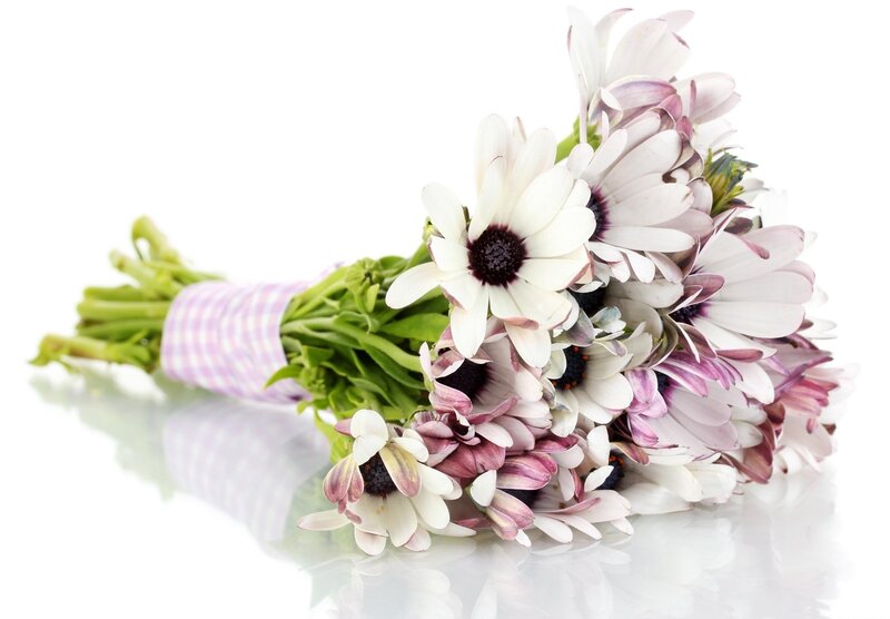 bouquet of white daisies