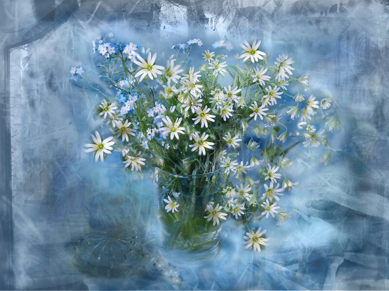 Bouquet of White Flowers — Blue